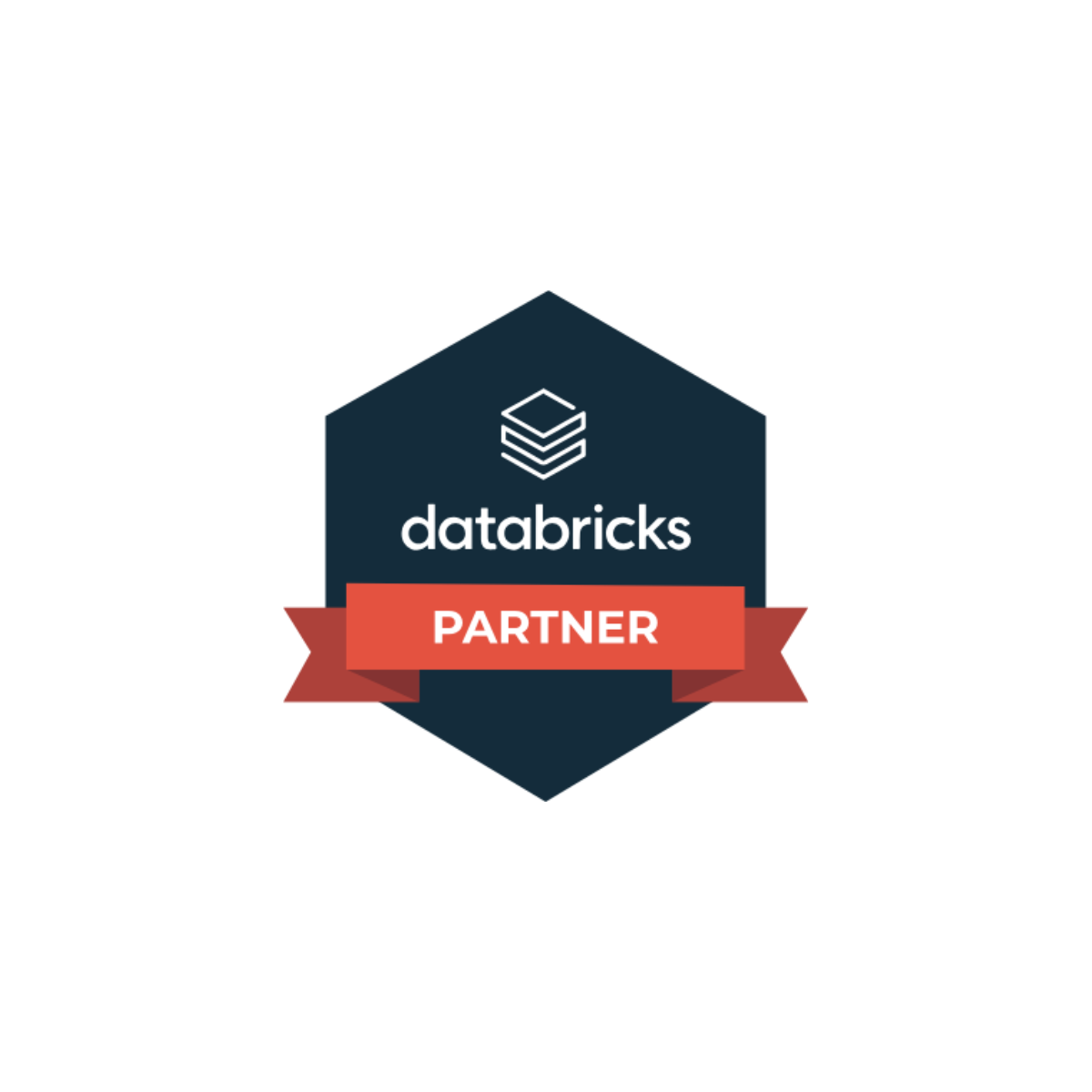 databricks logo partner (2)